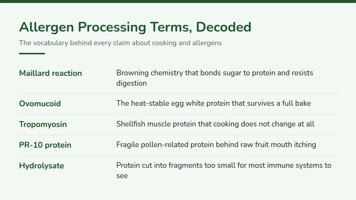 Summary card: Allergen Processing Terms, Decoded