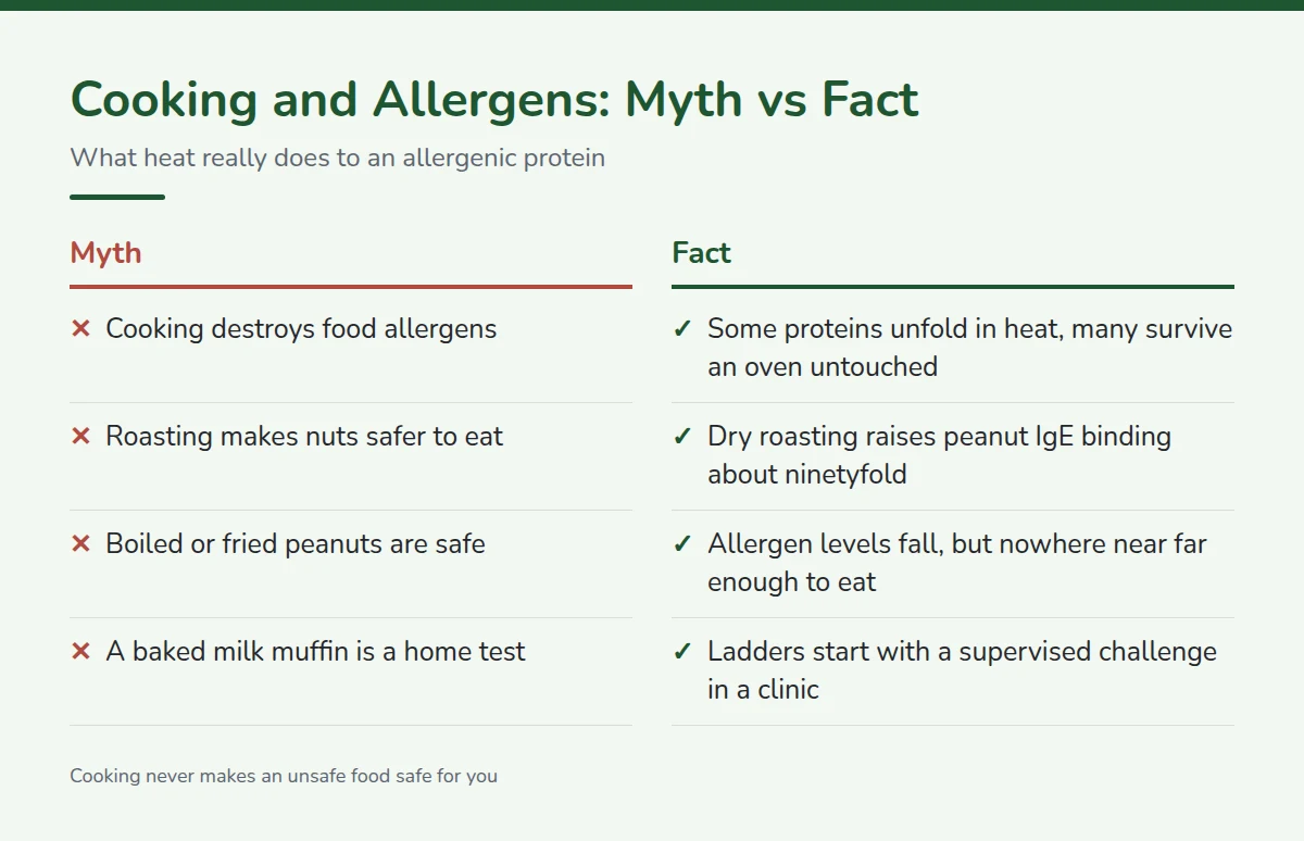 Summary card: Cooking and Allergens, Myth vs Fact