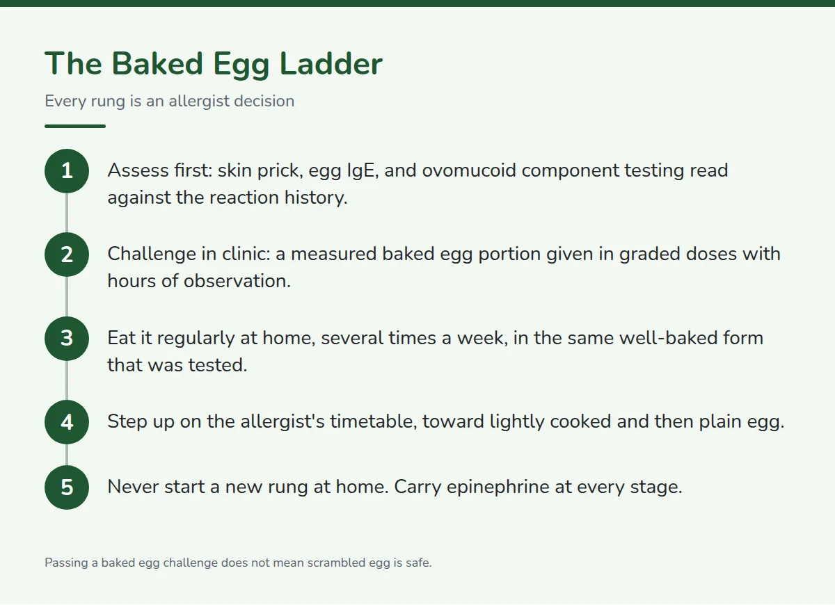 Summary card: The Baked Egg Ladder, Step by Step