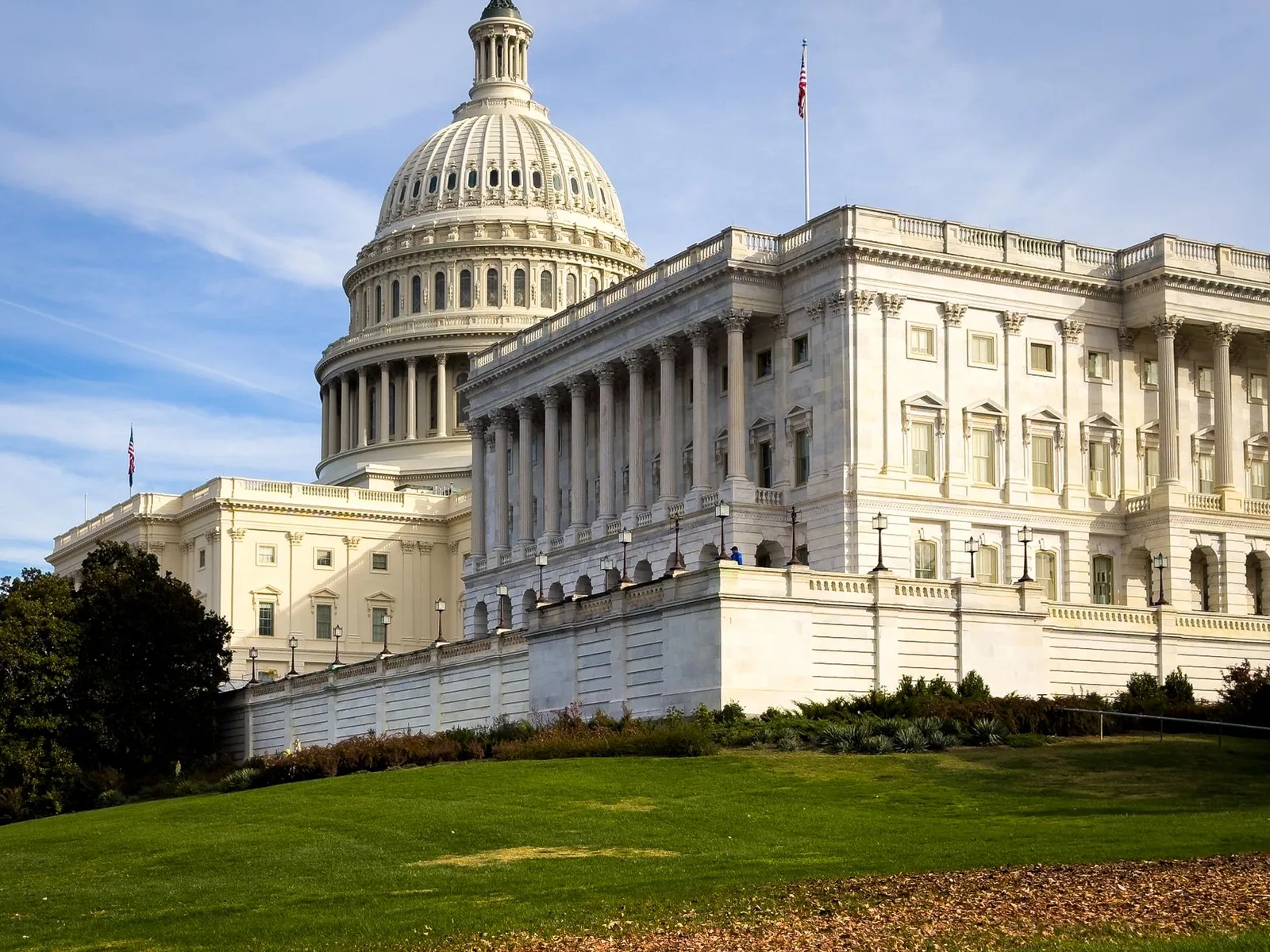 The US Capitol building seen from the lawn