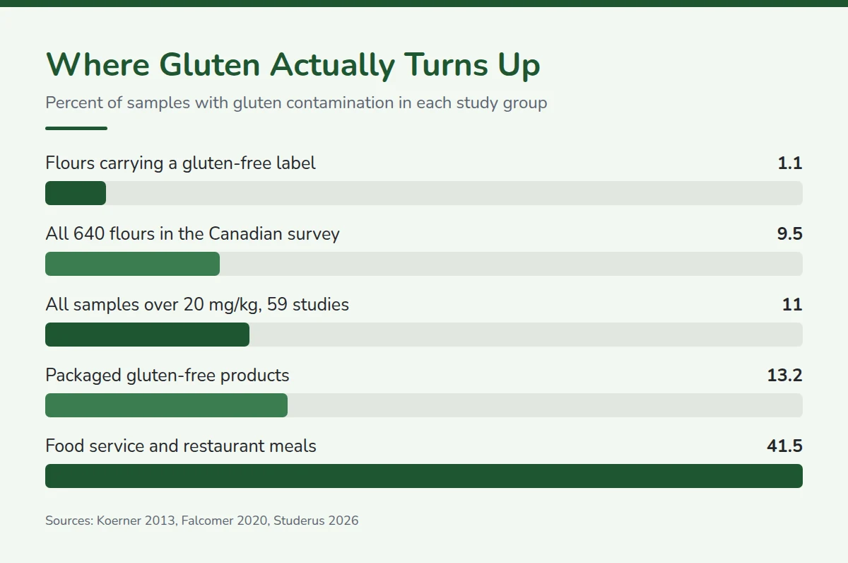 Summary card: Where Gluten Actually Turns Up