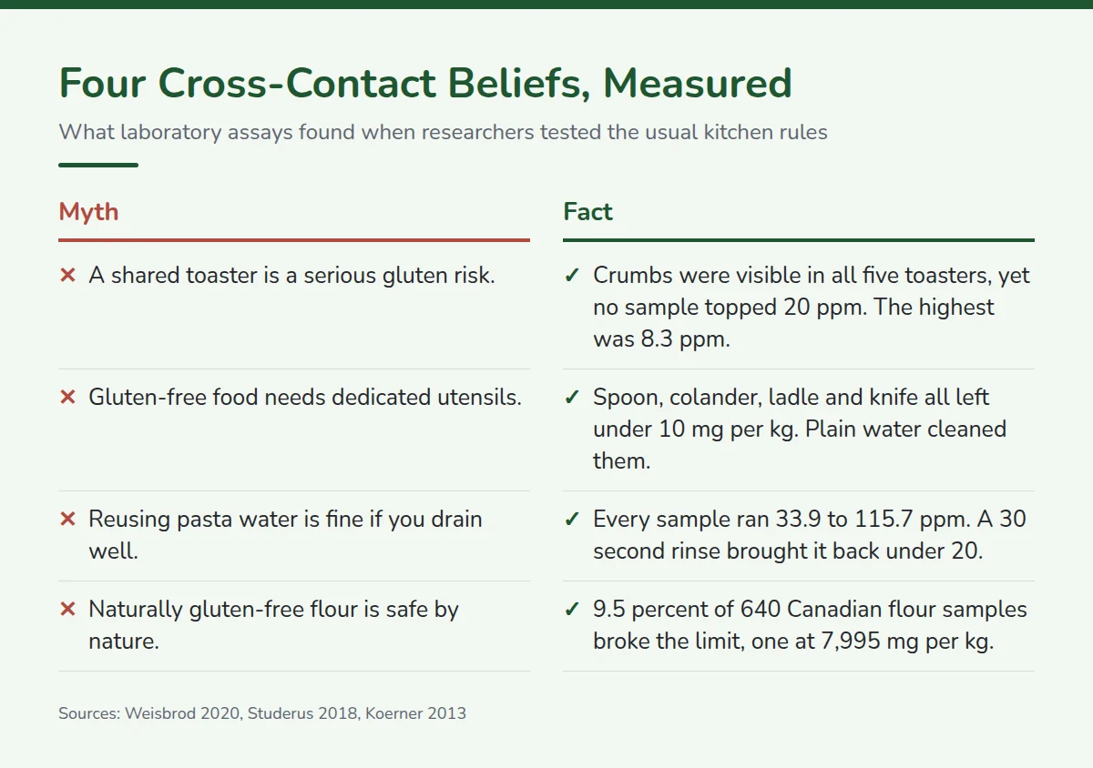 Summary card: Four Cross-Contact Beliefs, Measured