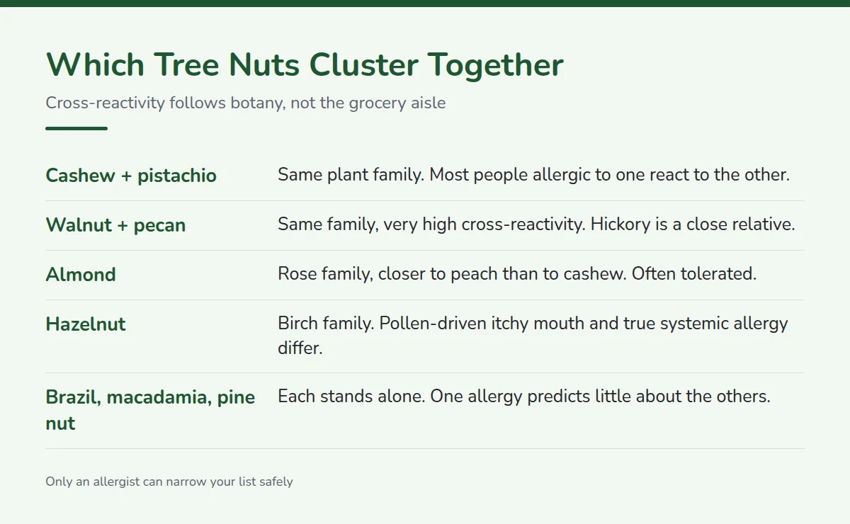 Summary card: Which Tree Nuts Cluster Together