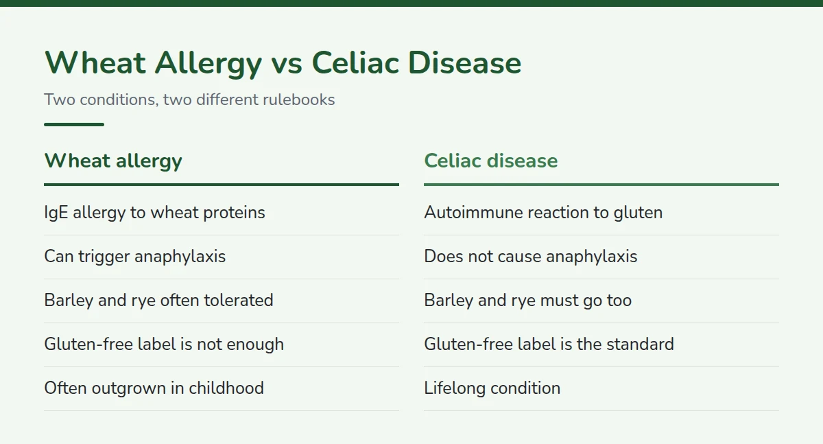 Summary card: Wheat Allergy vs Celiac Disease